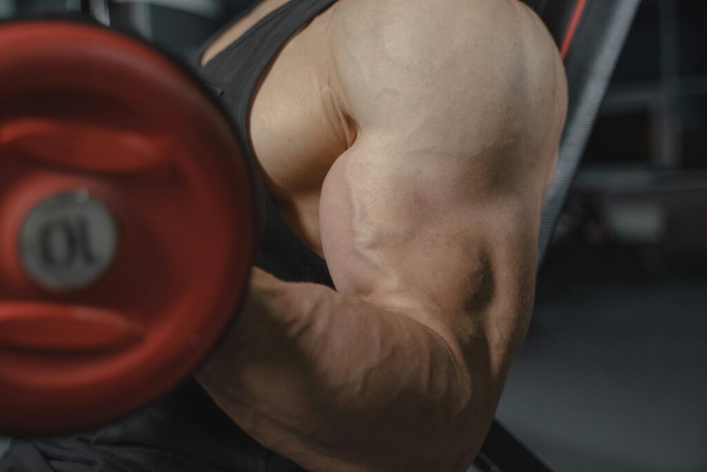 Fit Filozof- Kas Gelişimi Nasıl Olur? Vücut Geliştirme-Beslenme-Fitness
